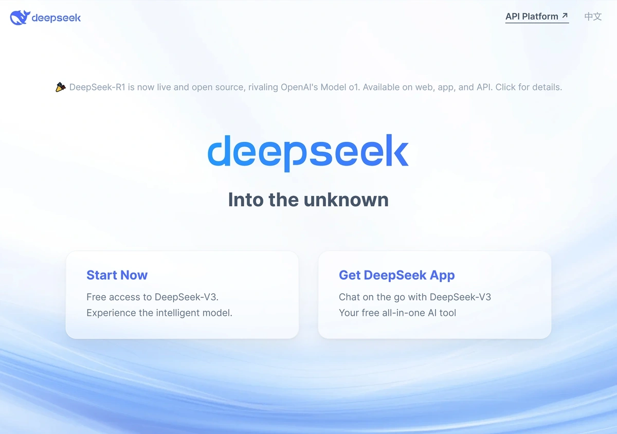 Deepseek homepage